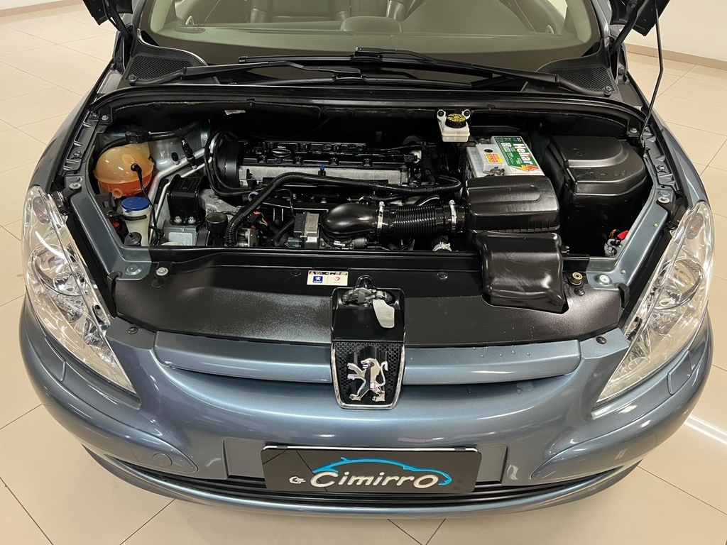 307 CC 2.0 - Image 8