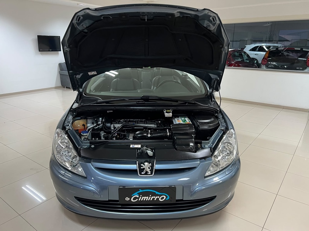 307 CC 2.0 - Image 9