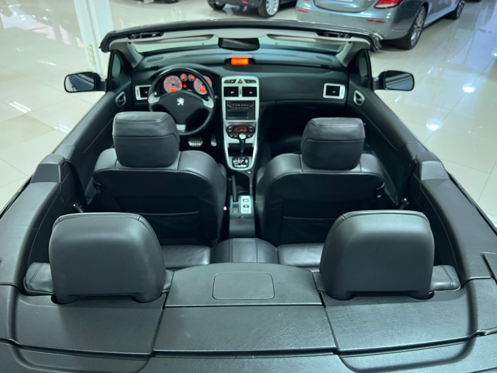307 CC 2.0 - Image 10